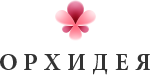 Купить Орхидея оптом