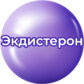Экдистерон Экдистерон