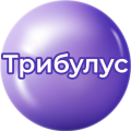 Трибулус Трибулус