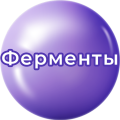 Ферменты