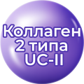 Коллаген 2 типа UC-II Коллаген 2 типа UC-II